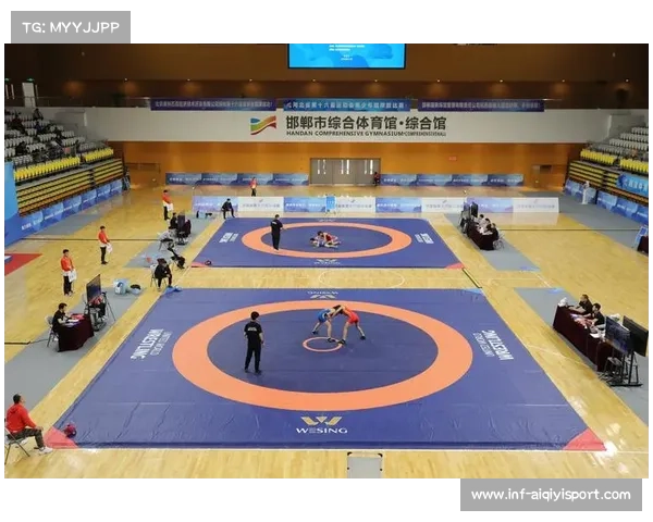 全国青少年体育联合会规范国际式摔跤赛事标准